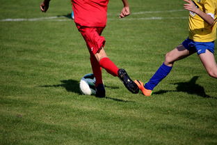 华体会体育官网-国家队与俱乐部之间协调机制为何不顺畅，国家队比赛和俱乐部比赛冲突